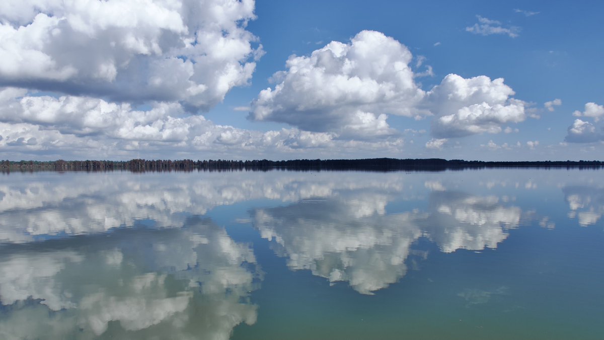 DeepGreens2's tweet image. Land of Lakes 
#Photography #Florida #Lakeland #CircleB