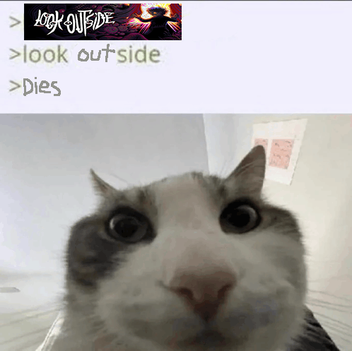 fungerman1145's tweet image. 