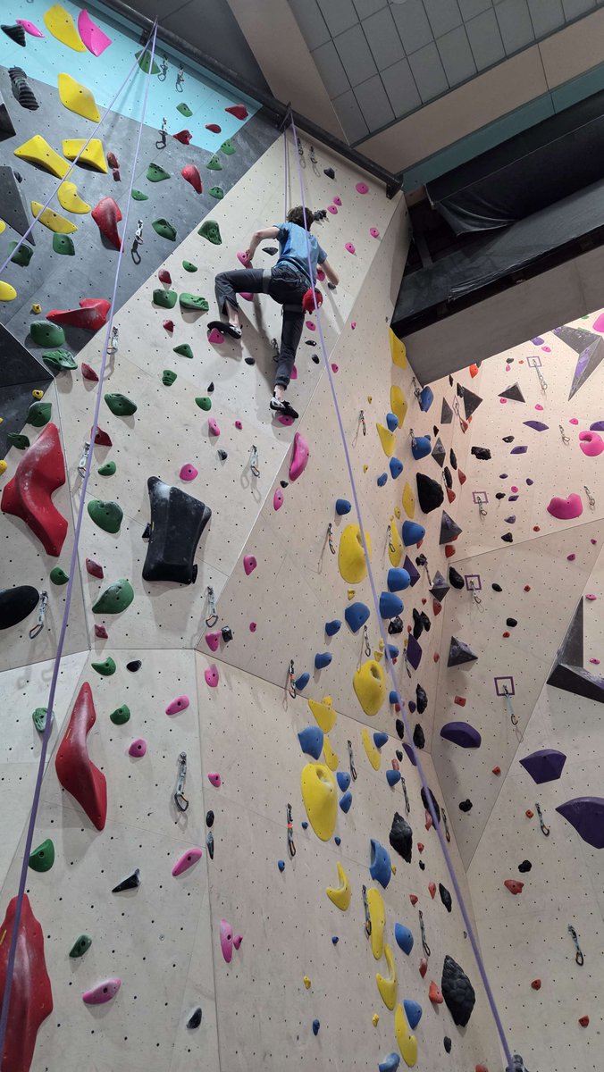 Peter Chiykowski tweet media