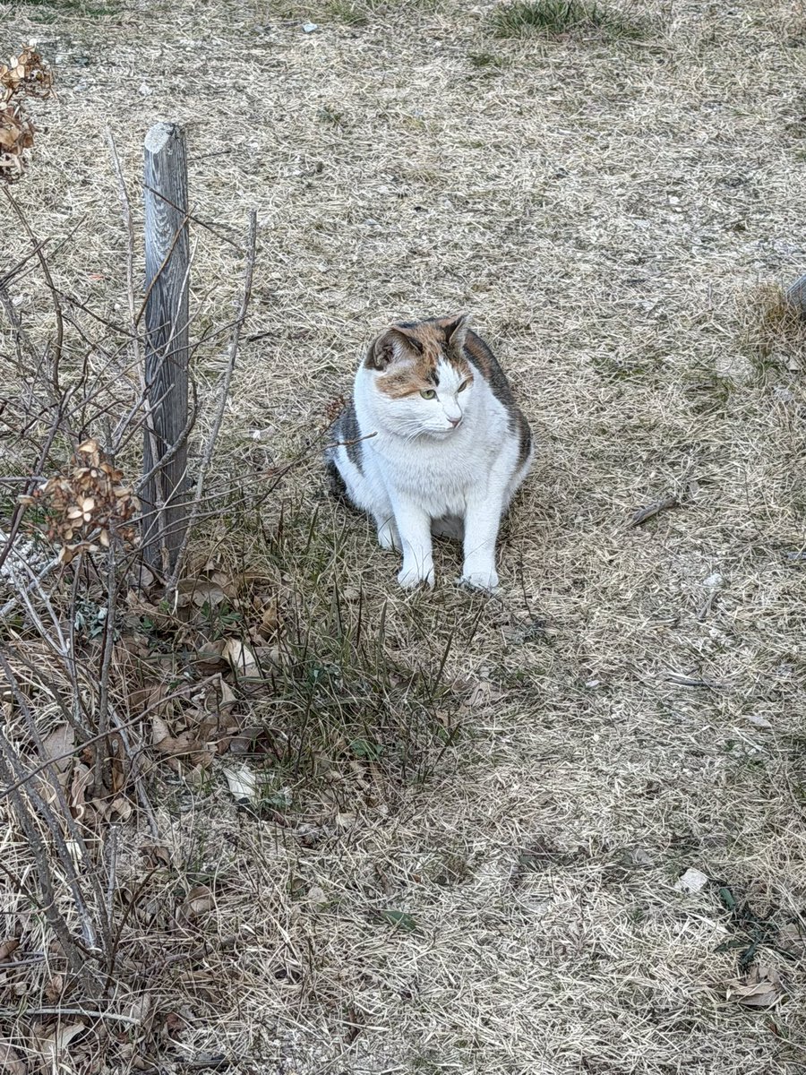 lateuploading's tweet image. 10일동안의 무기력증을 극복하고 산책도 하고 공부도 했어요😭😭