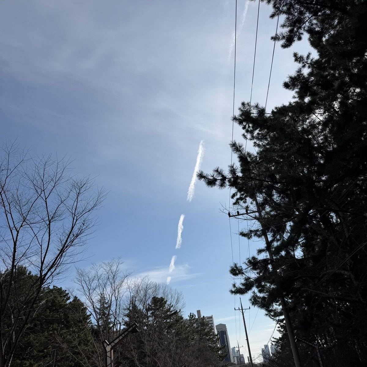 lateuploading's tweet image. 10일동안의 무기력증을 극복하고 산책도 하고 공부도 했어요😭😭