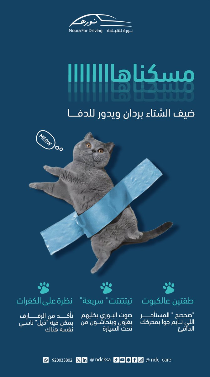 نورة للقيادة tweet media