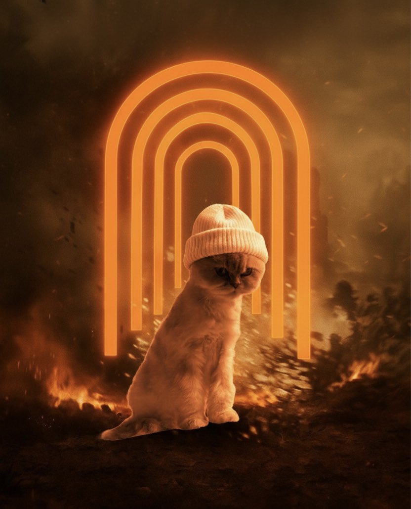 GMEOW ❄️ 

Next wave coming