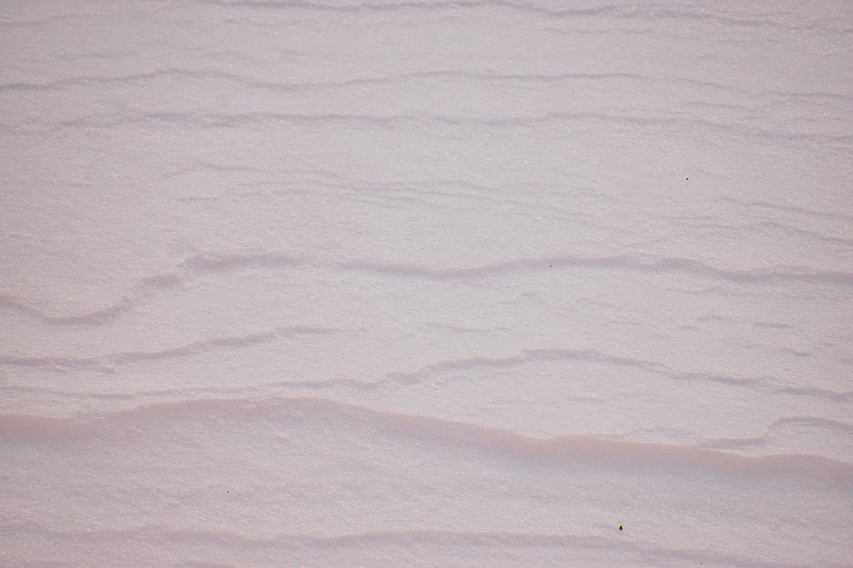 🌬❄️

#snow 

- Dragica Basarić photography.