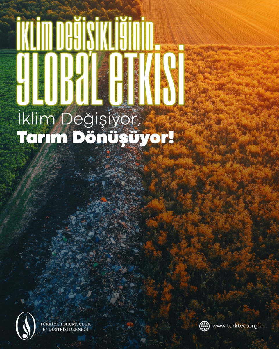 İklim değişikliğinin tarım üzerindeki etkileri küresel ölçekte derinleşirirken tarımsal üretimin de yeni koşullara uyum sağlaması gerekiyor.

#türkted #tarım #tohum #tohumculukendüstrisiderneği #tohumculuk