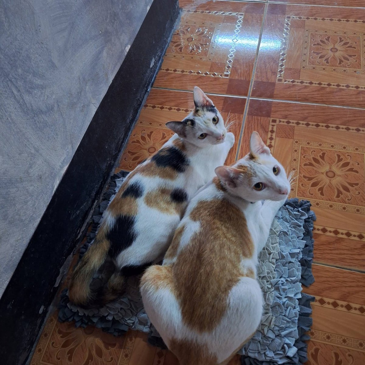 Benzgai (เบื้องหลังของหนุ่มใหญ่) tweet media
