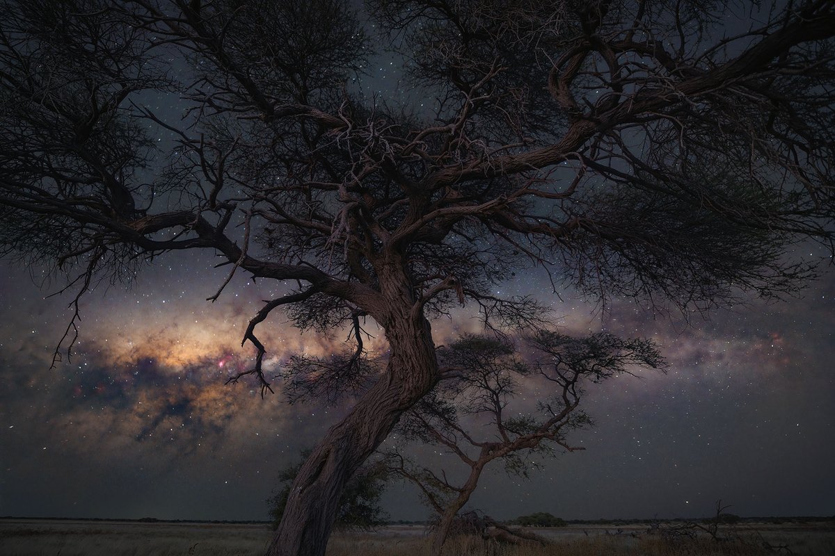 “My first night in Botswana: the darkest sky I’ve ever seen. A Milky Way shot only possible in total darkness.”
📷 Nikon D850  | 15mm | ƒ/2.8 | 13s | ISO 6400
👉 Photo by Stefano Pellegrini.
📍 Planned in Botswana with PhotoPills 💊