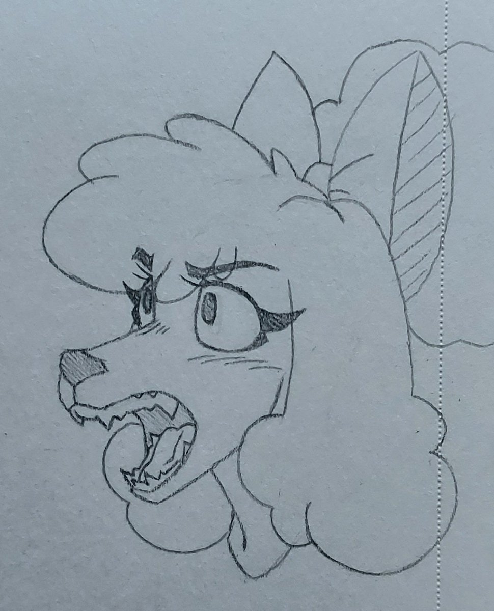 What's this poodle yapping about?