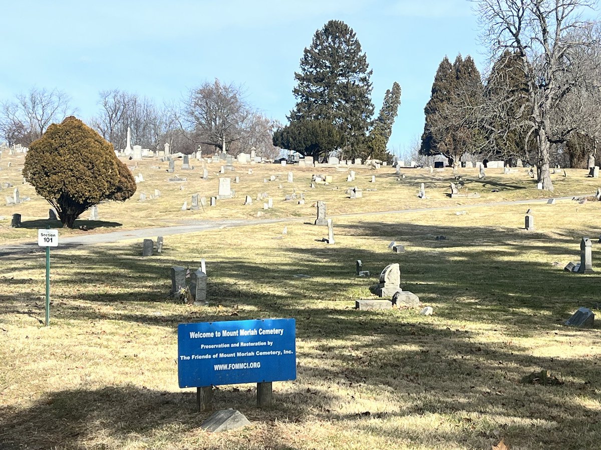 Madeleine Wright tweet media