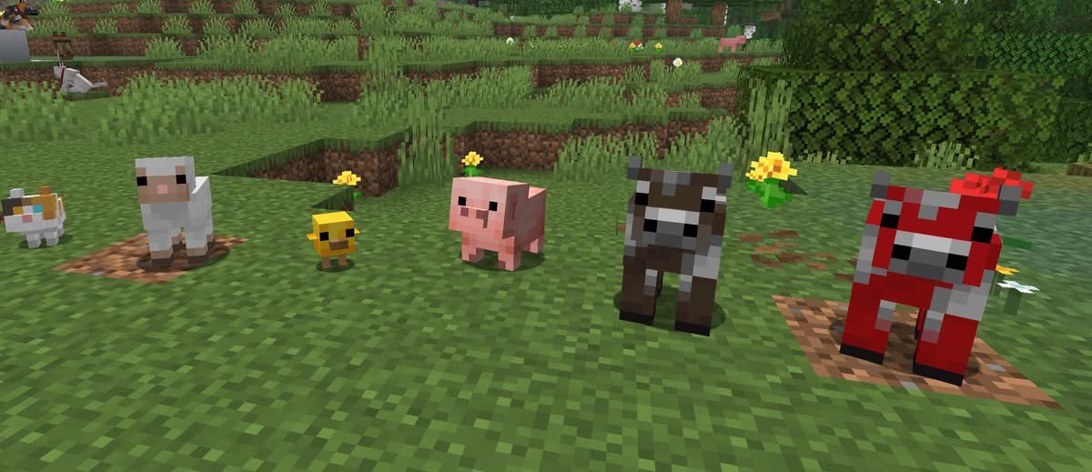 SnowNode Hosting tweet media