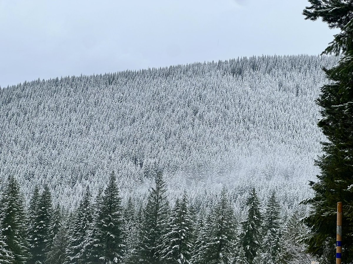 Mckenzie Richmond tweet media