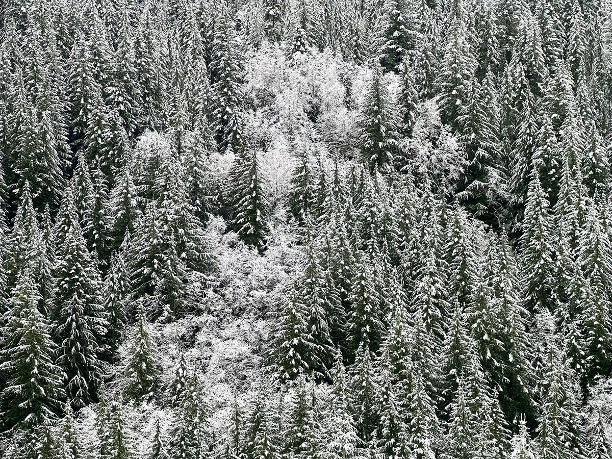 Mckenzie Richmond tweet media