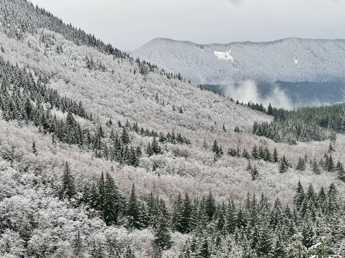 Mckenzie Richmond tweet media