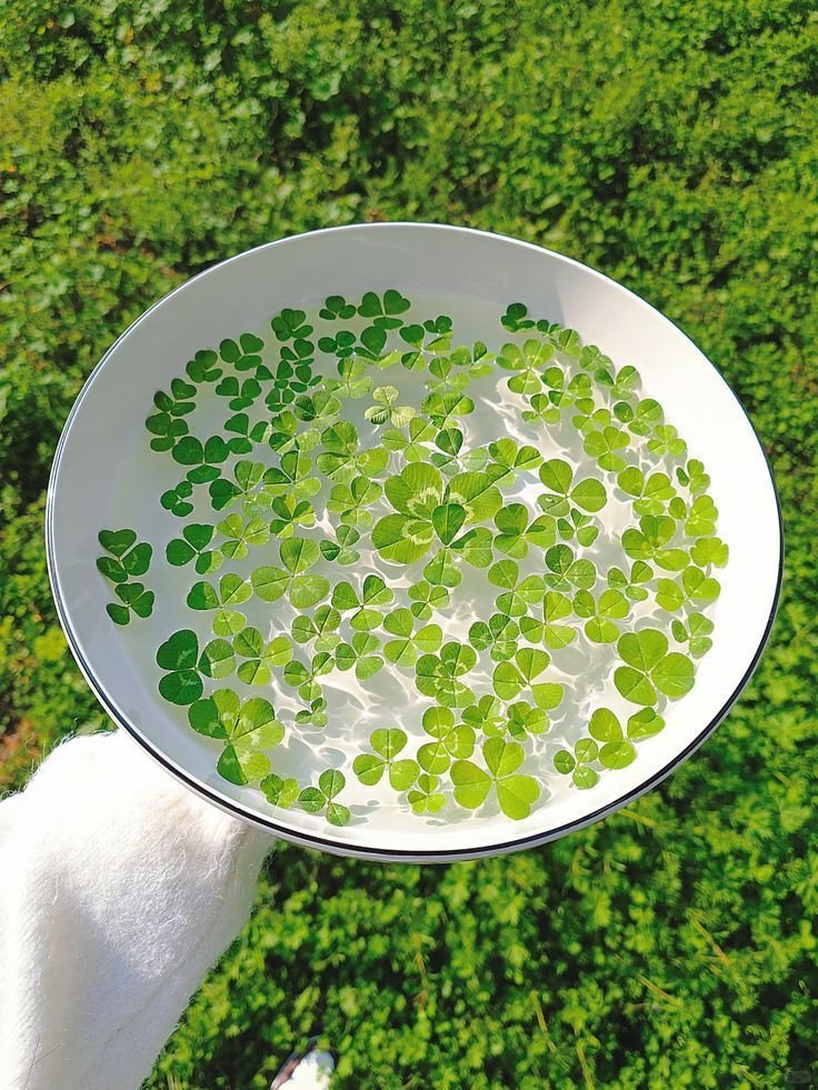 artindetails's tweet image. a four-leaf clover for good luck.
