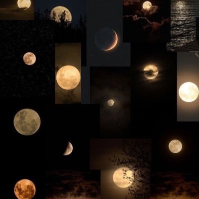 BrittHendr51135's tweet image. NFTs for rent, digital dreams sold at thrift stores #CryptoCouture