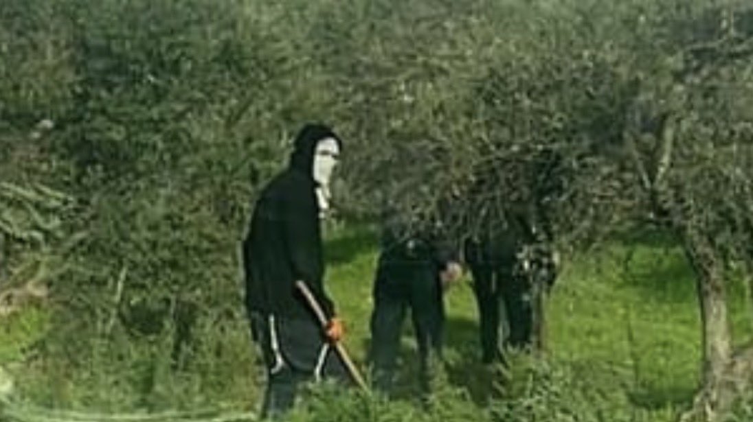 AlonLeeGreen's tweet image. אתם מבינים שכל ראשי המדינה, המשטרה והצבא מסרבים לקרוא לאנשים רעולי הפנים האלה שבתמונה - שפשטו עכשיו על הכפר בית ליד שבגדה המערבית, הציתו רכבים עם אנשים בתוכם ופצעו אותם אנושית - מחבלים?