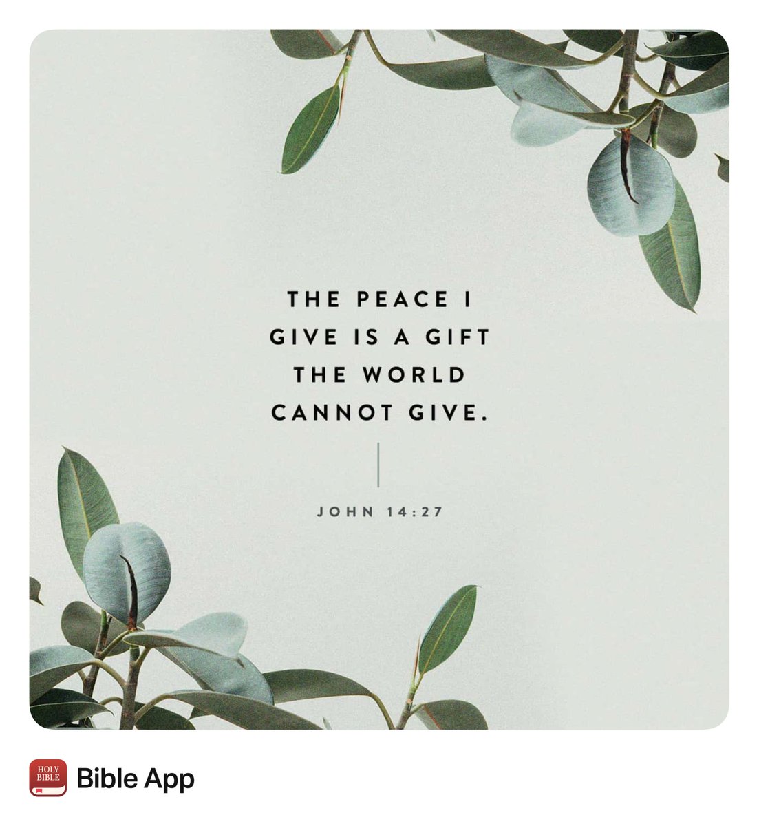 Stevedubu1's tweet photo. #ThankfulThursday HIS #peace #NotOfThisWorld https://t.co/R4ftMyYZ1o