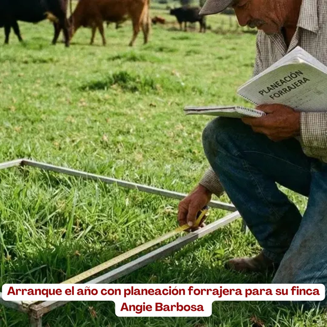 PL_Chiquinquira's tweet image. Un manejo ordenado de los recursos, el cuidado del suelo, los forrajes y la sanidad animal son la base para garantizar bienestar, productividad y rentabilidad. 🌱🤍
@fedegan @jflafaurie @ContGanadero  #PlanificaciónGanadera #ConstruyendoGanadería #OrgullosamenteGanaderos