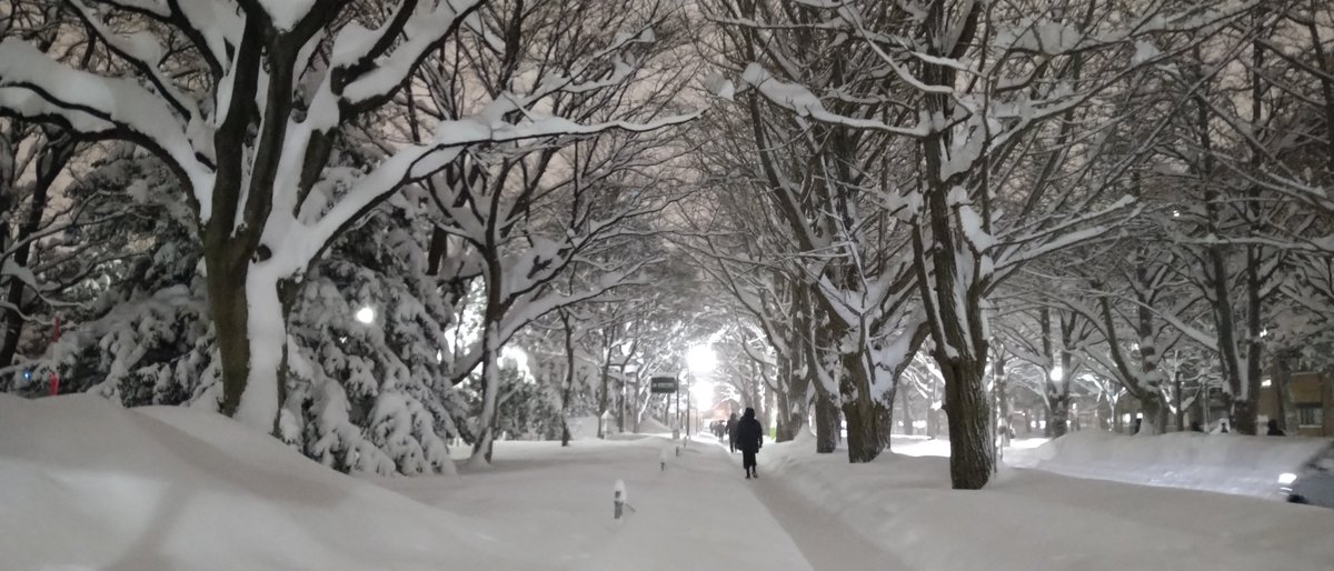 藤野 羽衣子 tweet media