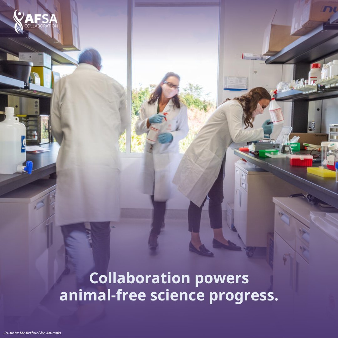 Animal-Free Safety Assessment (AFSA) Collaboration tweet media