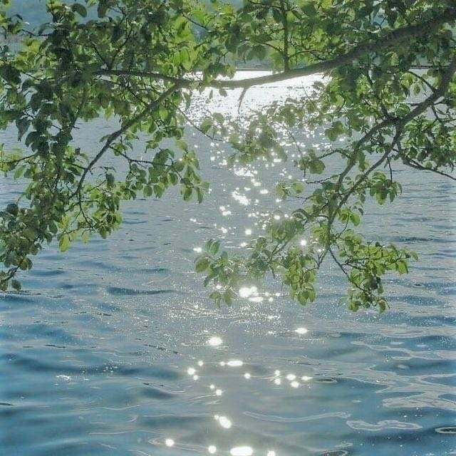 artindetails's tweet image. when the sun makes the waters shine.
