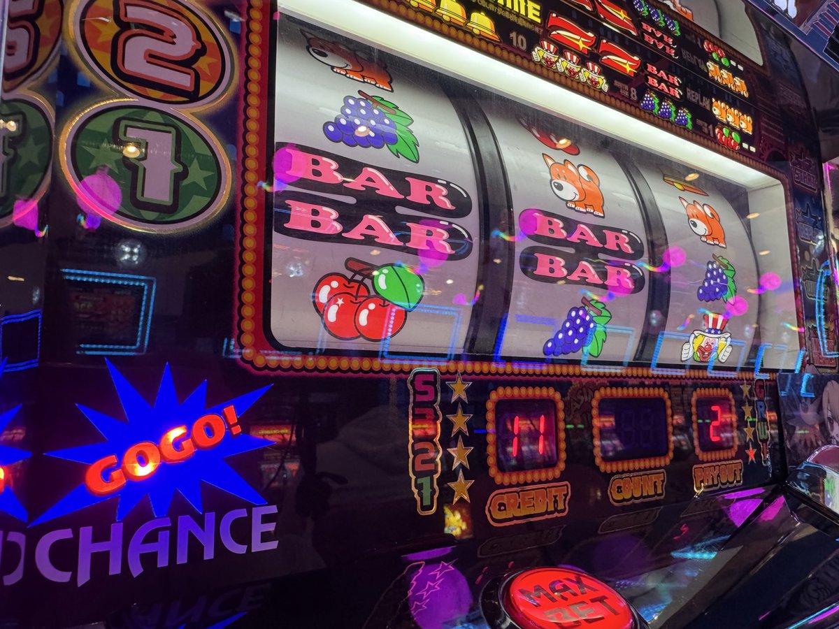 ぶーちゃん4点おまとめ ぶーちゃん4点おまとめ ぶーちゃん🐷📷 (@boochan_kmrmn) / Posts / X