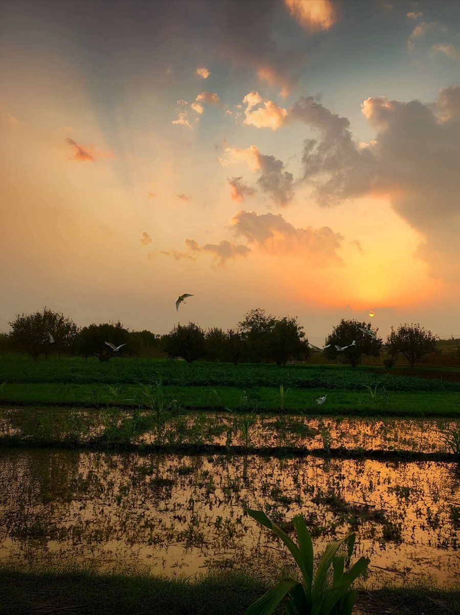Ibn_Abo_Bakr's tweet photo. يُسن النظَر إلىٰ السَّماء عند الدُّعاء وهو أهيبُ وألَح؛
﴿قَدْ نَرَىٰ تَقَلُّبَ وَجْهِكَ فِي السَّماءِ﴾

وهو سنَّة مهجورة.! 

- الطُّريفِي. https://t.co/UU5NHsIL4i