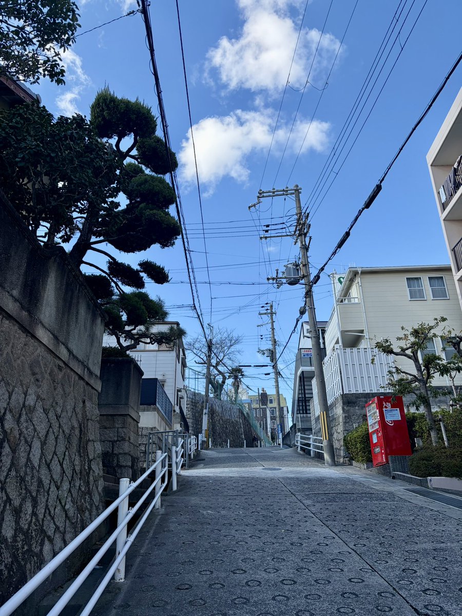 ✿みどり✿ (@midori_302) / Posts / X