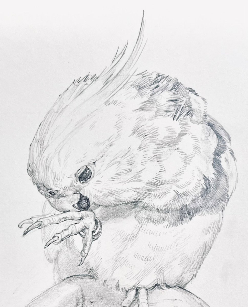 suiren✽ 𓋴𓅱𓇌 (@suiren_craft) / Posts and Replies / X