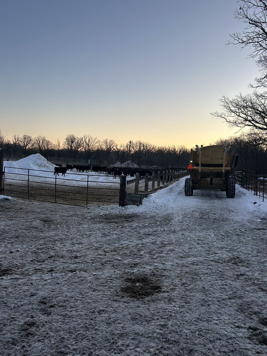 bscomet22's tweet image. Chorin

🐮📷