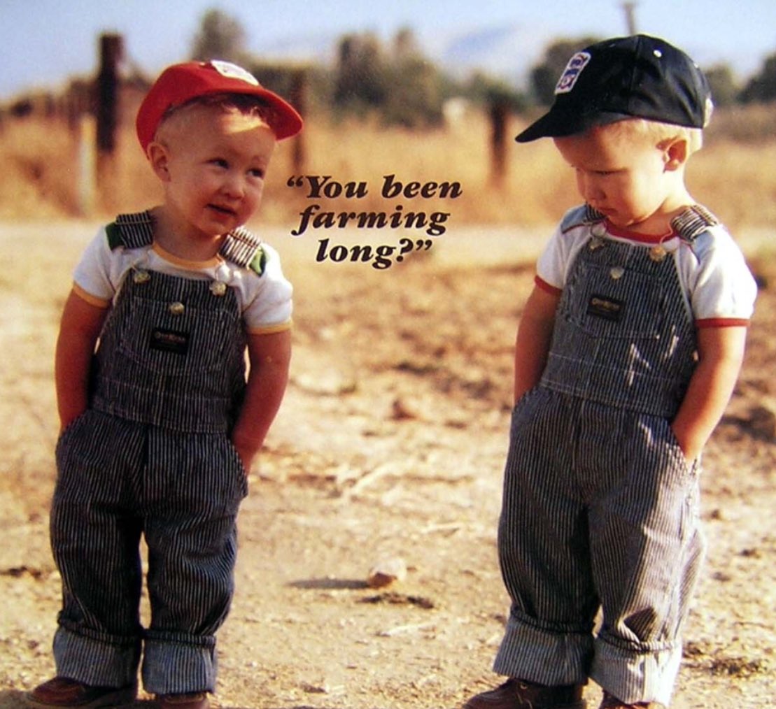 bscomet22's tweet image. Chorin

🐮📷