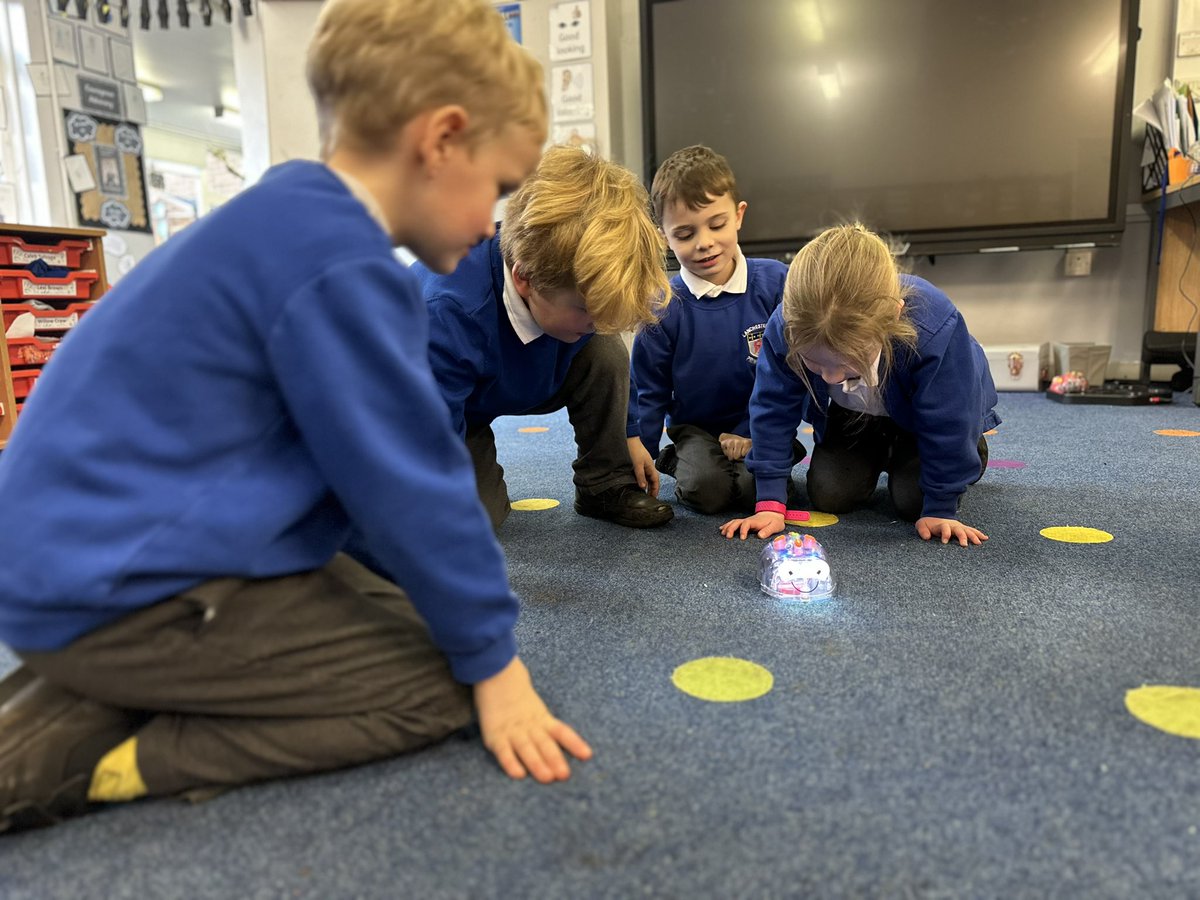 Lanchester EP Primary School tweet media