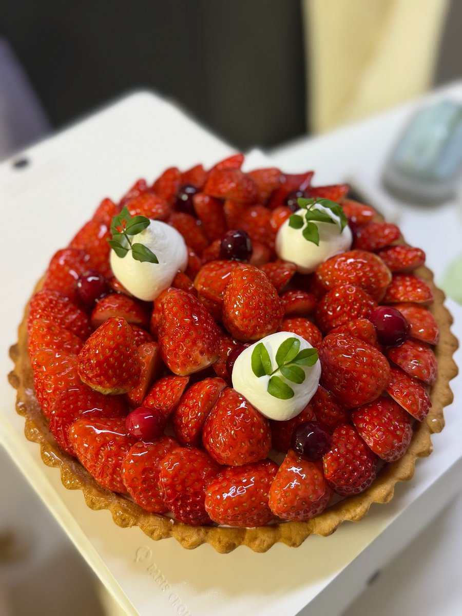 와 ㅁㅊ 뭐임 용희네에 감딸기 방문했어