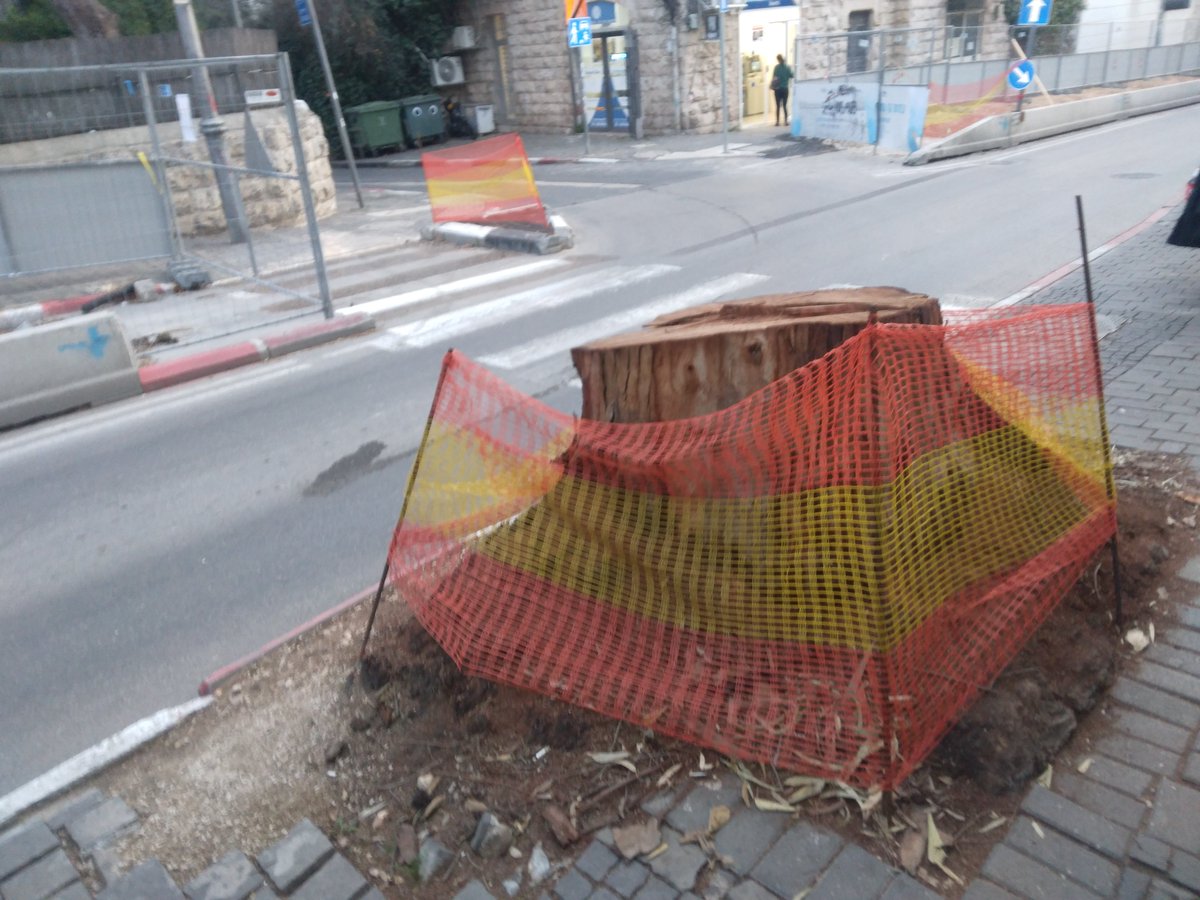 בן 3: "אמא, בונים פה עץ!"