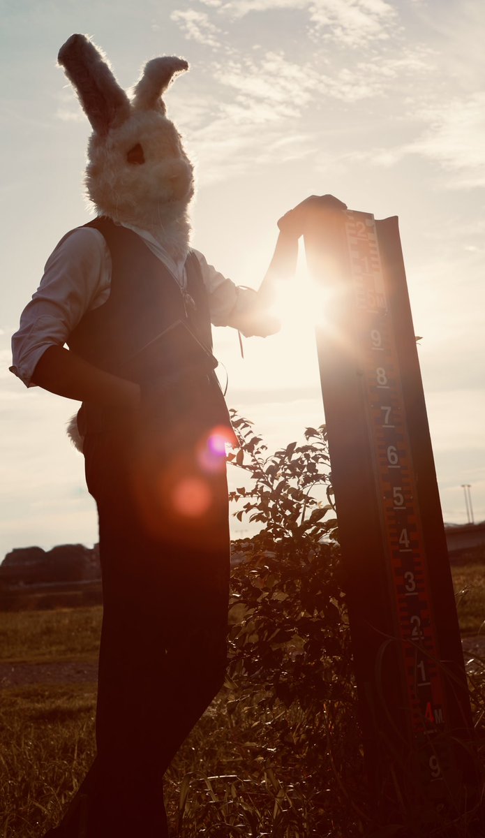  ︎︎
 ︎︎
サぁ。帰りまスよ
 ︎︎
 ︎︎
(📷<a href="/daltann_0000/">ルタ</a> )