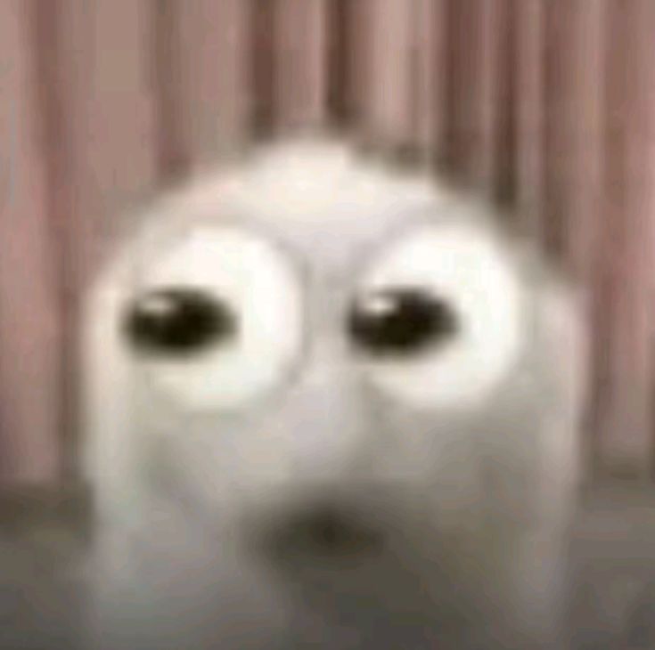 vintegrams's tweet image. 