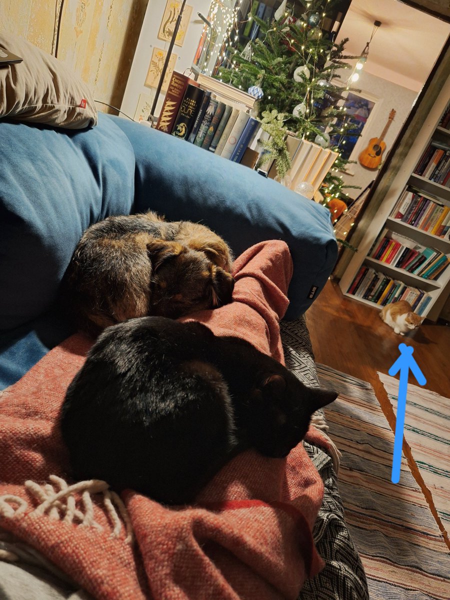 Приймаються версії, чому Курі сидить і дується в кутку (Боріна версія - бо їй нравиться сидіть і дуться)