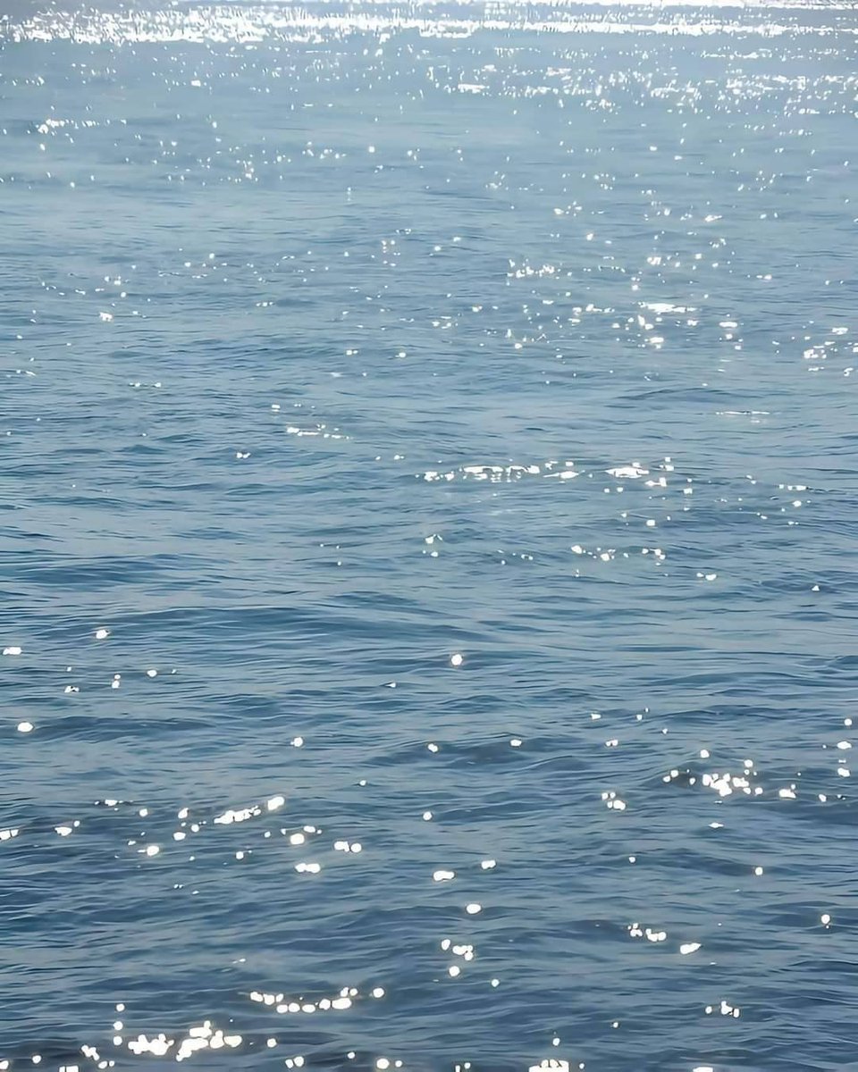 artindetails's tweet image. when the sun makes the water glitter.