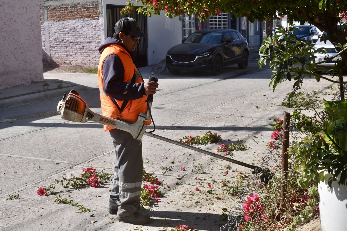 Personal de Imagen Urbana trabajó en el mantenimiento del Jardín San Alberto, en la colonia San Ángel 1, así como en el Jardín San Antonio, en San Ángel 2, realizando acciones de limpieza y rehabilitación para dejar ambas áreas verdes en perfecto estado. 🌳✨

¡#SanLuisAmable!
