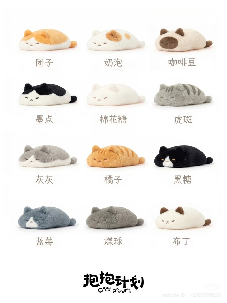 อ้วนมากก👀🐈