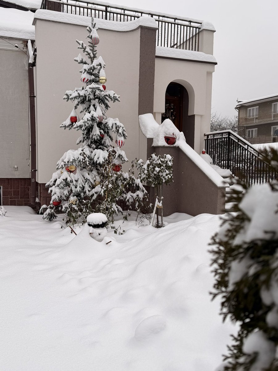 Arći (In memory of AZLAN🌈) tweet media