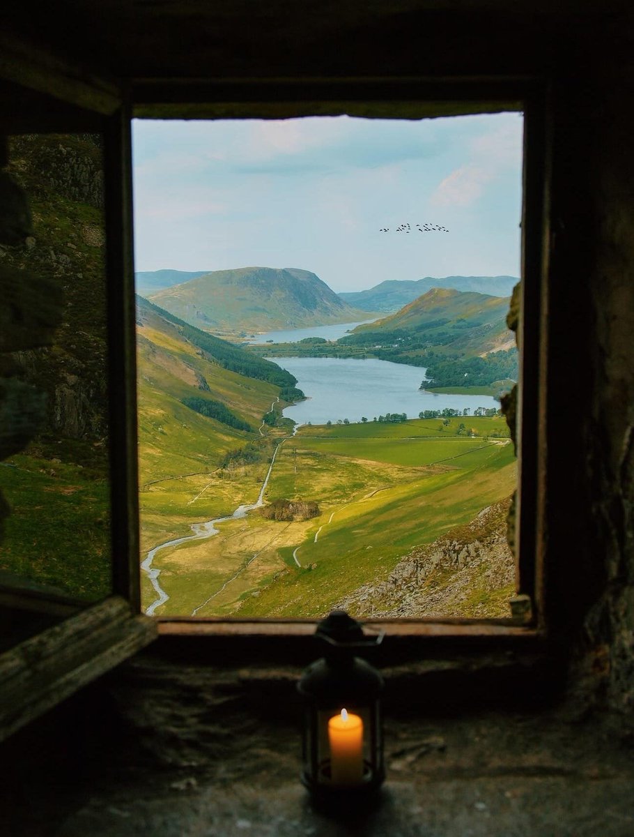 artindetails's tweet image. through the window.