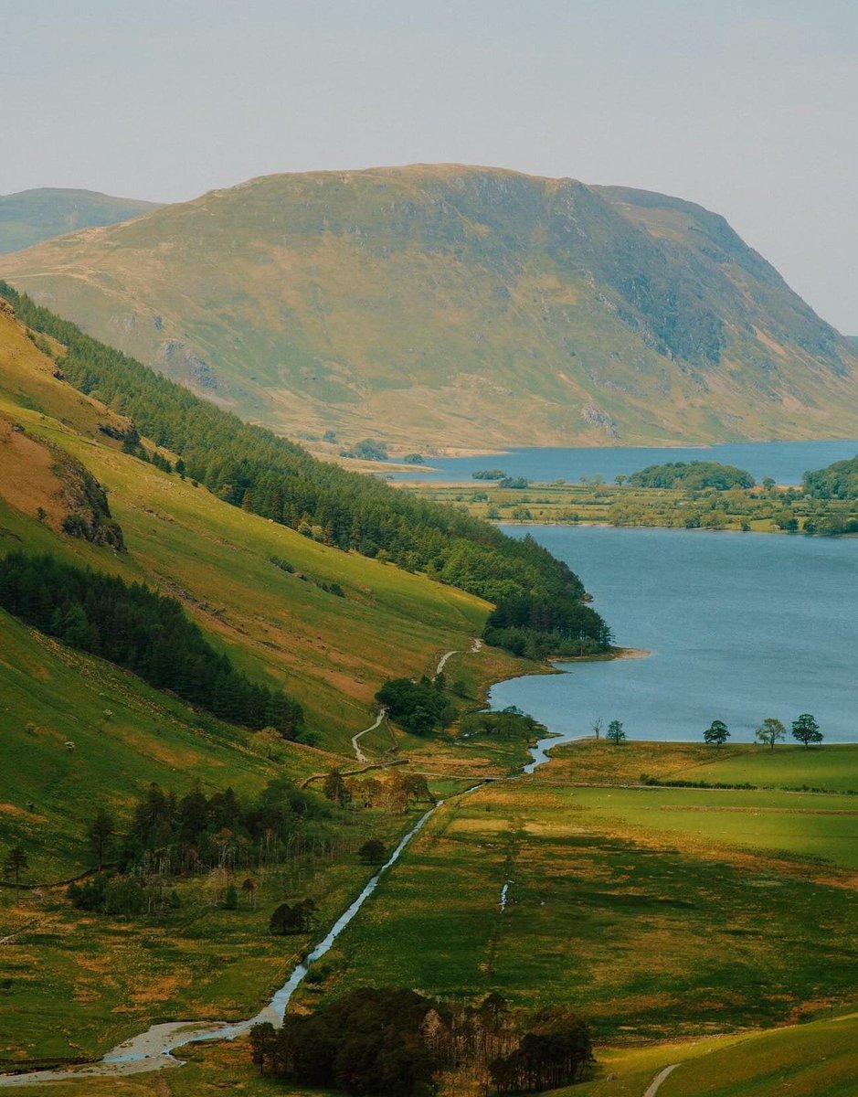 artindetails's tweet image. through the window.