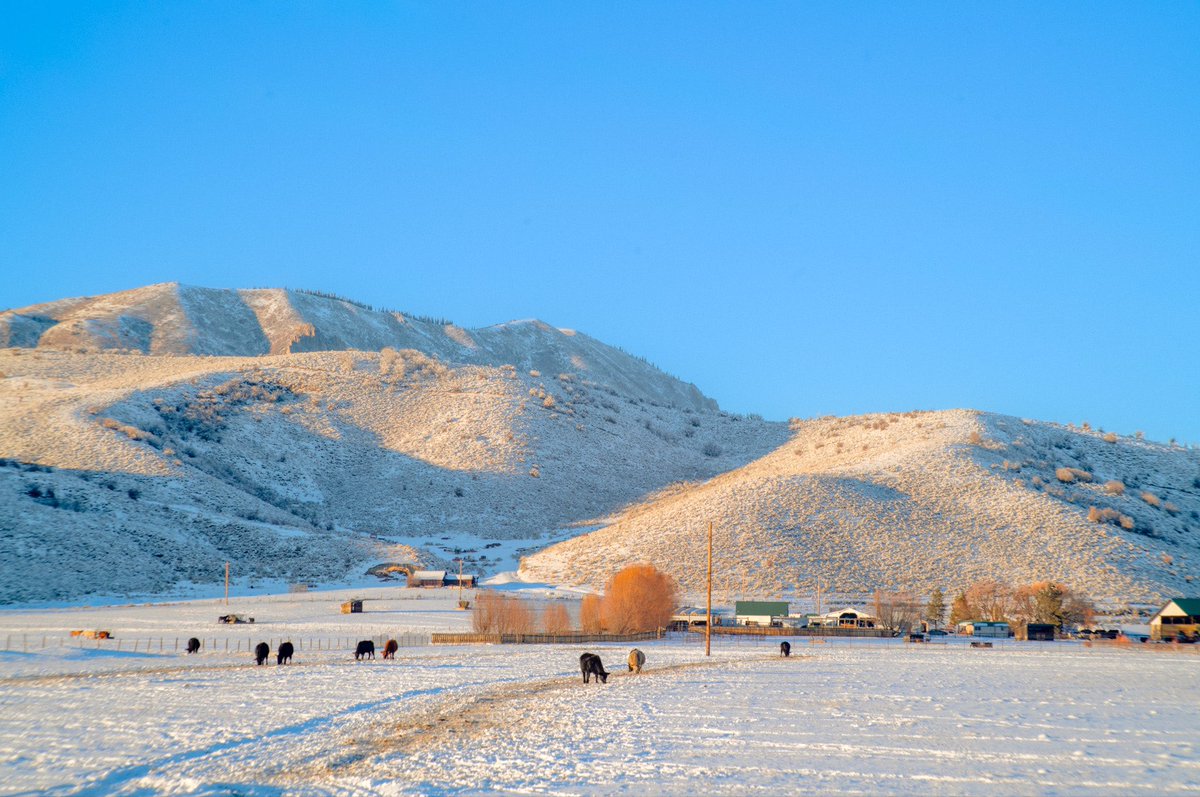 AlexKittoe's tweet image. Landscapes from winter