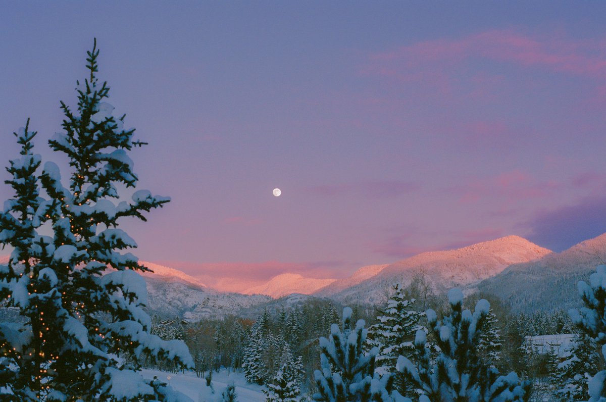 AlexKittoe's tweet image. Landscapes from winter