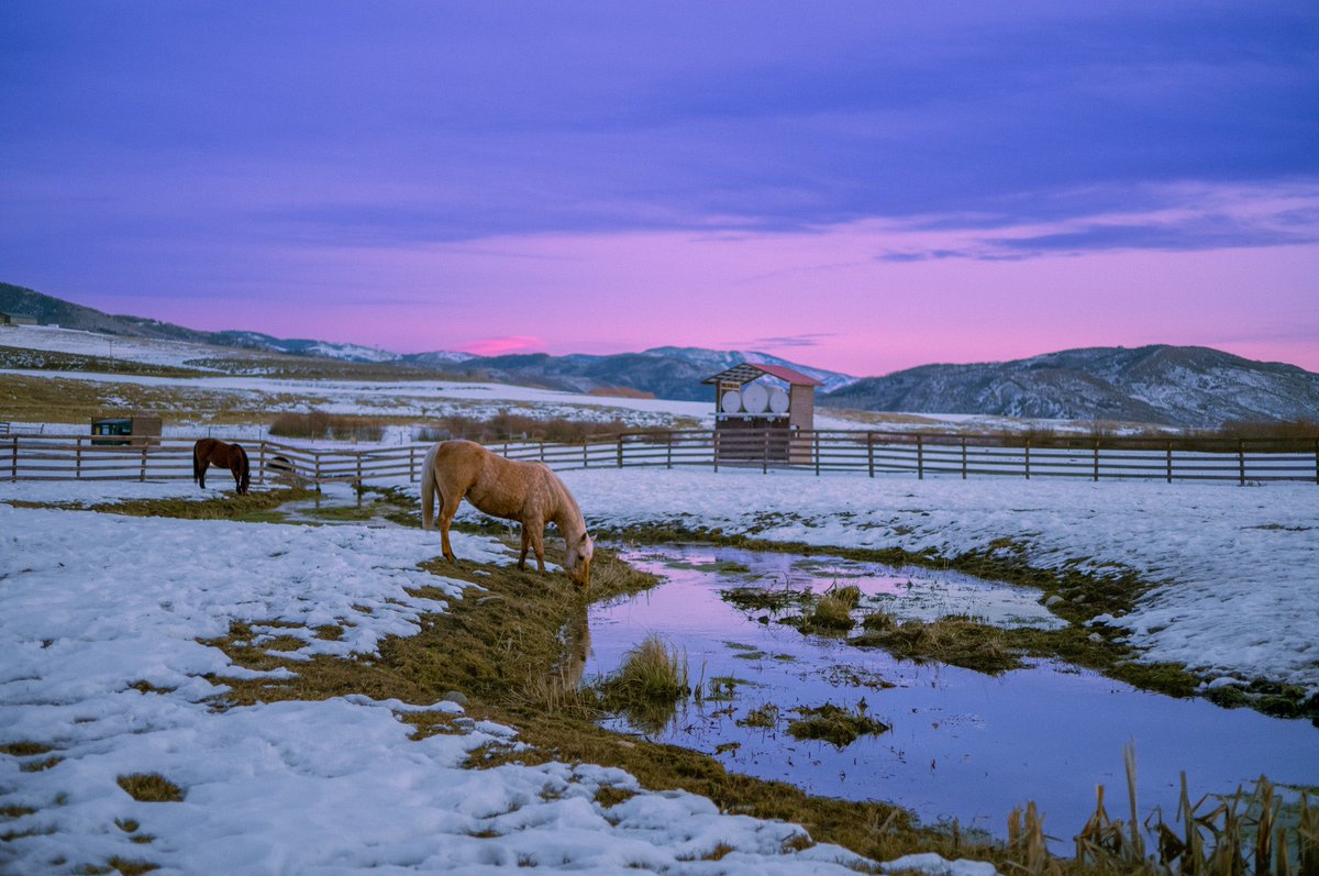 AlexKittoe's tweet image. Landscapes from winter