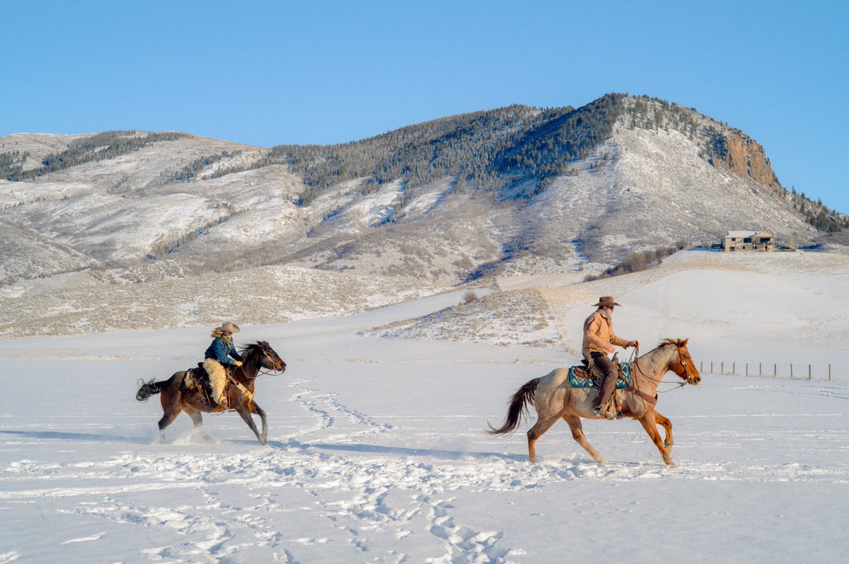 AlexKittoe's tweet image. Landscapes from winter