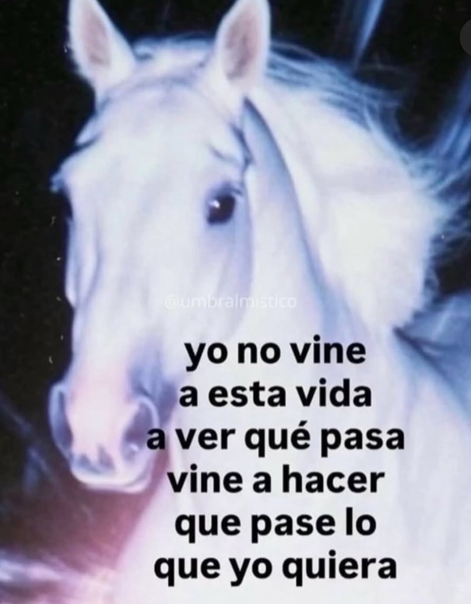 rhochicristaldo's tweet image. 🫰🏼✨