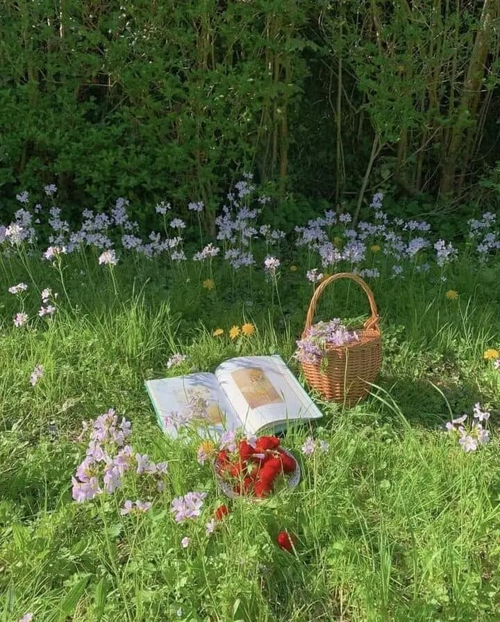 artindetails's tweet image. dreamy.