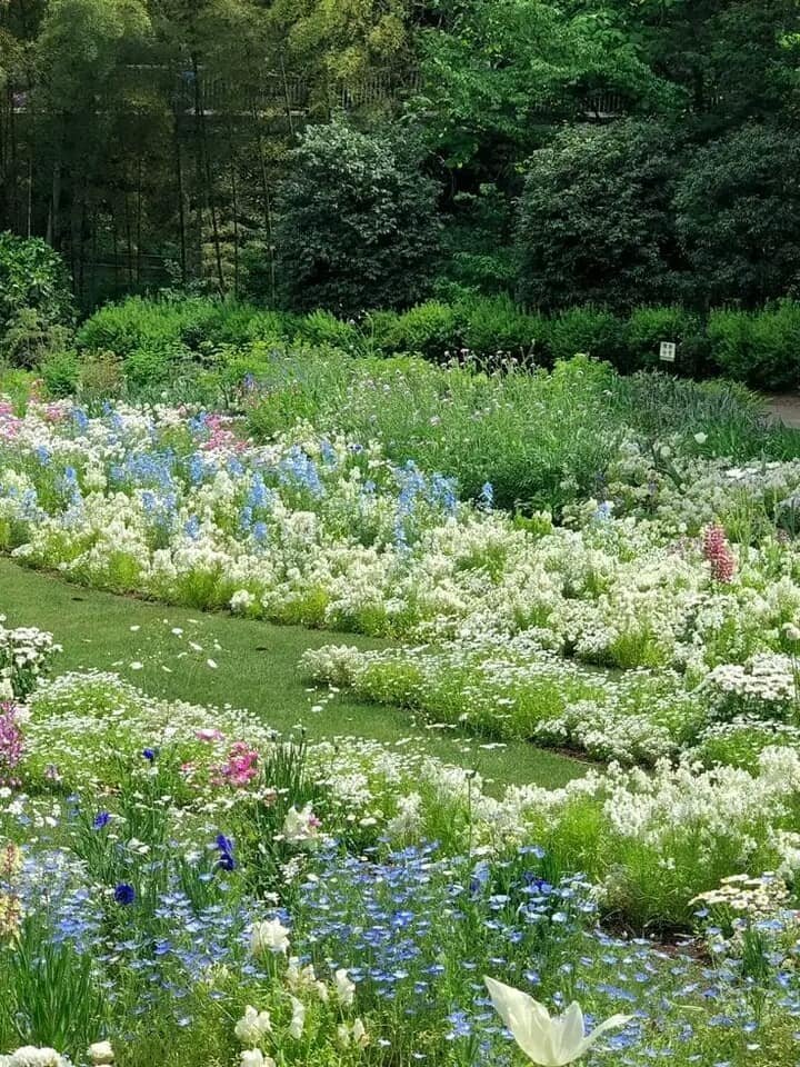 artindetails's tweet image. dreamy.